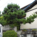 庭木せん定・枝落とし　奈良市